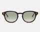 Mó ADIT SUN, tortoiseshell, large