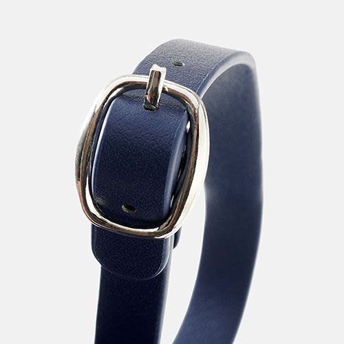 BLUE LUGAGE LABEL