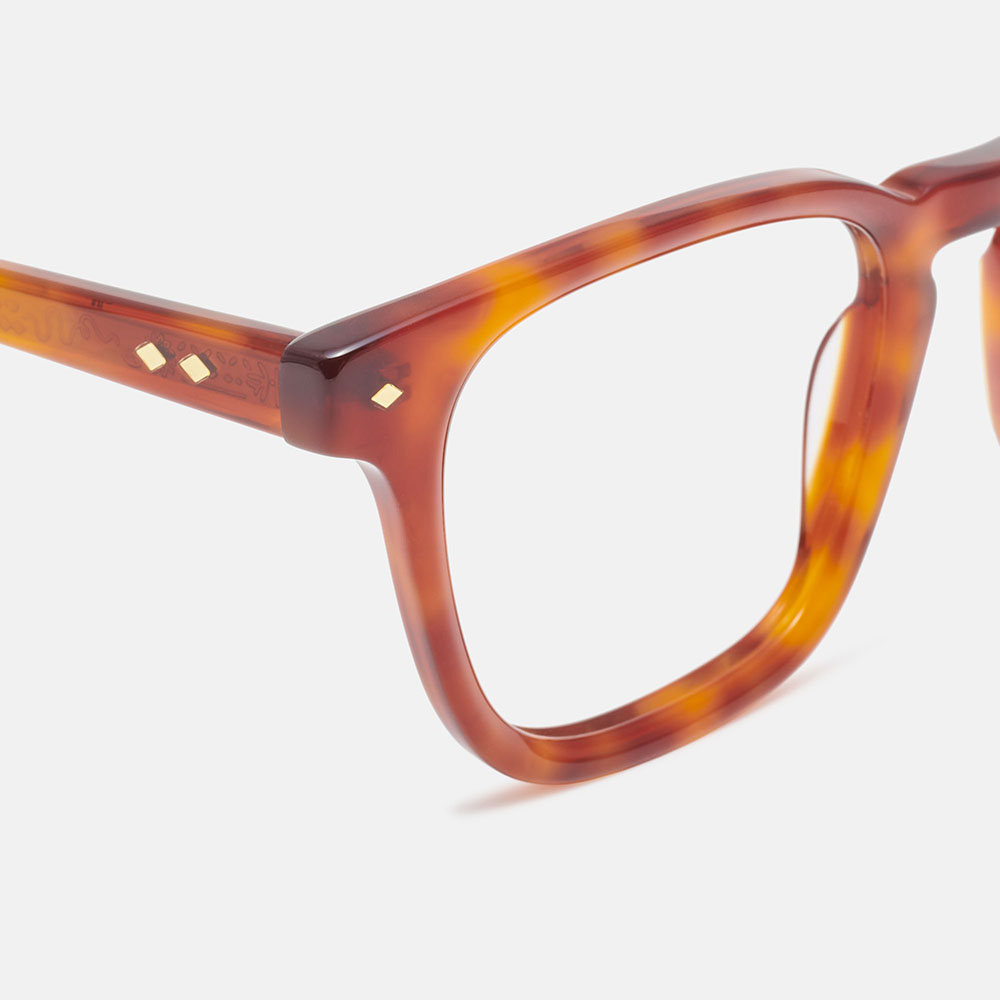 Mó Harissa, tortoiseshell, large image number 2