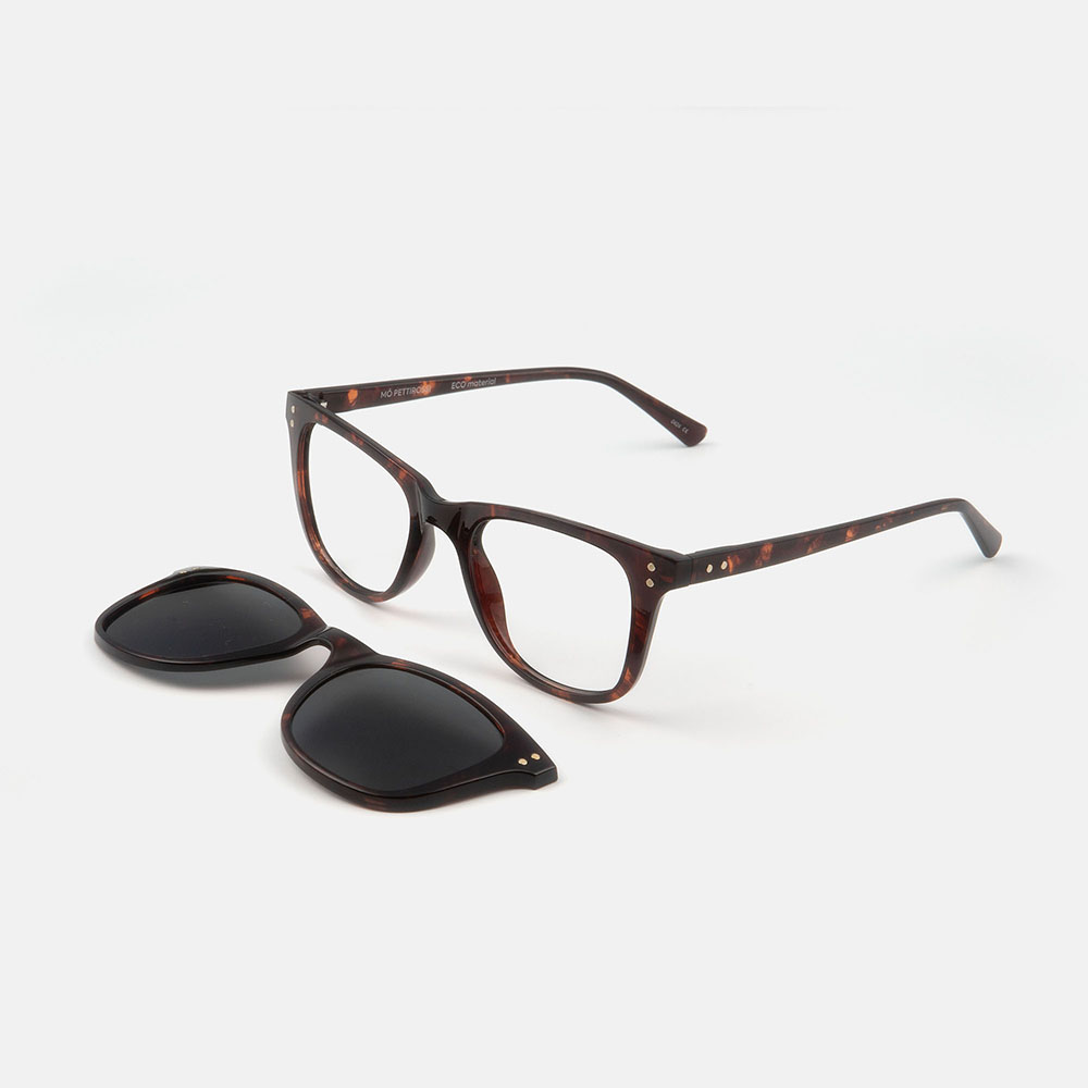 Mó Pettirossi, tortoiseshell, large image number 0