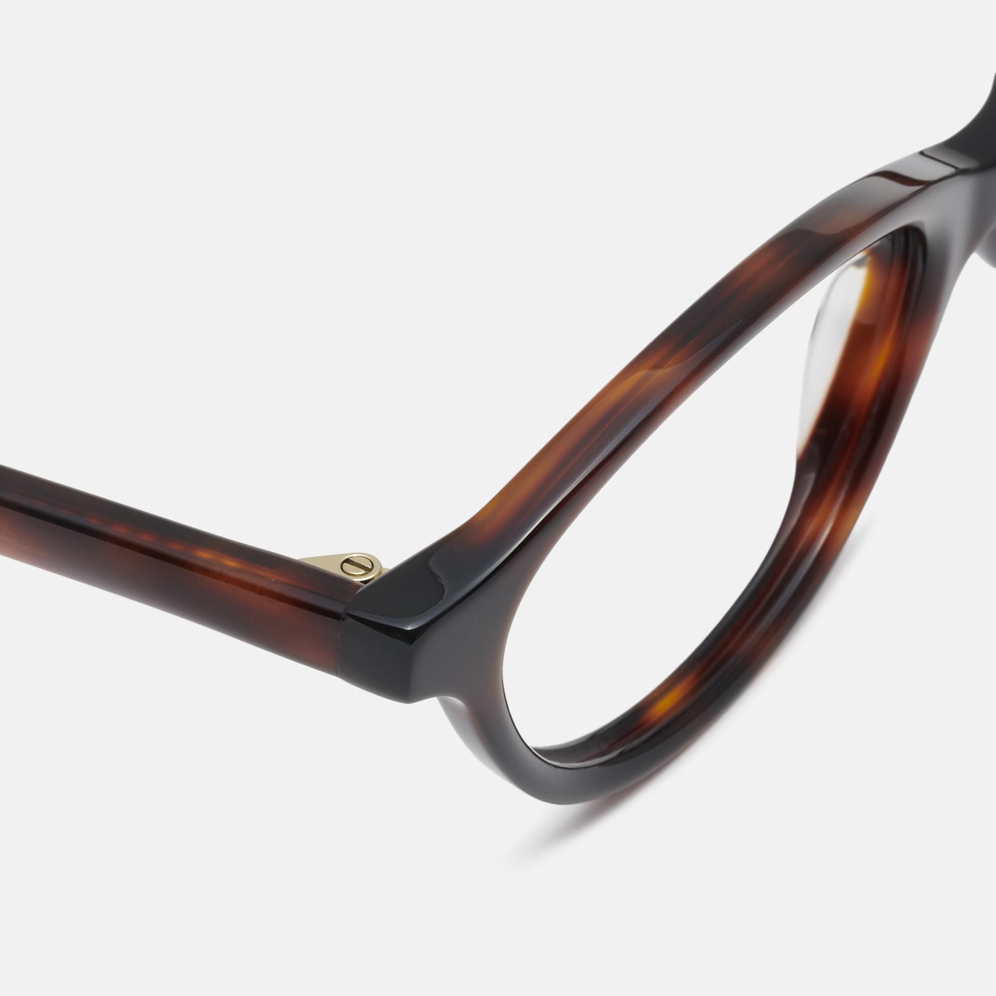 Mó musita, tortoiseshell, large image number 2