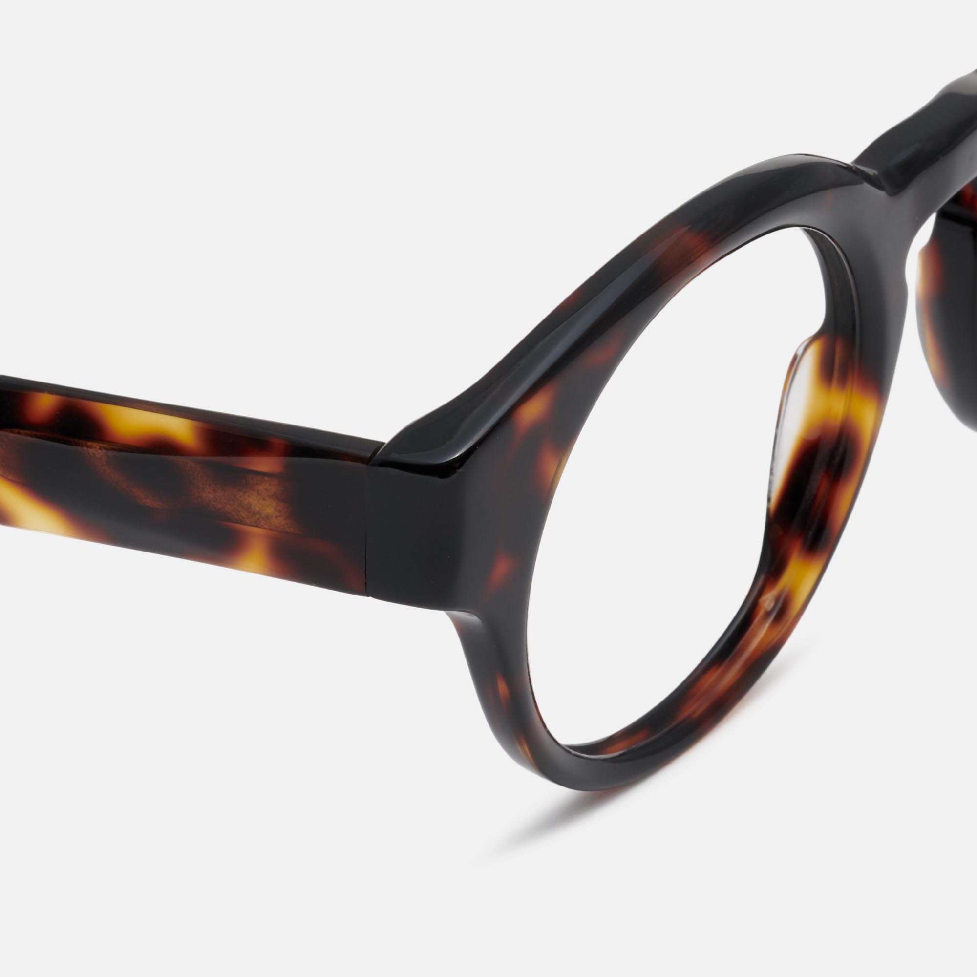 Mó RIENDAS, tortoiseshell, large image number 2