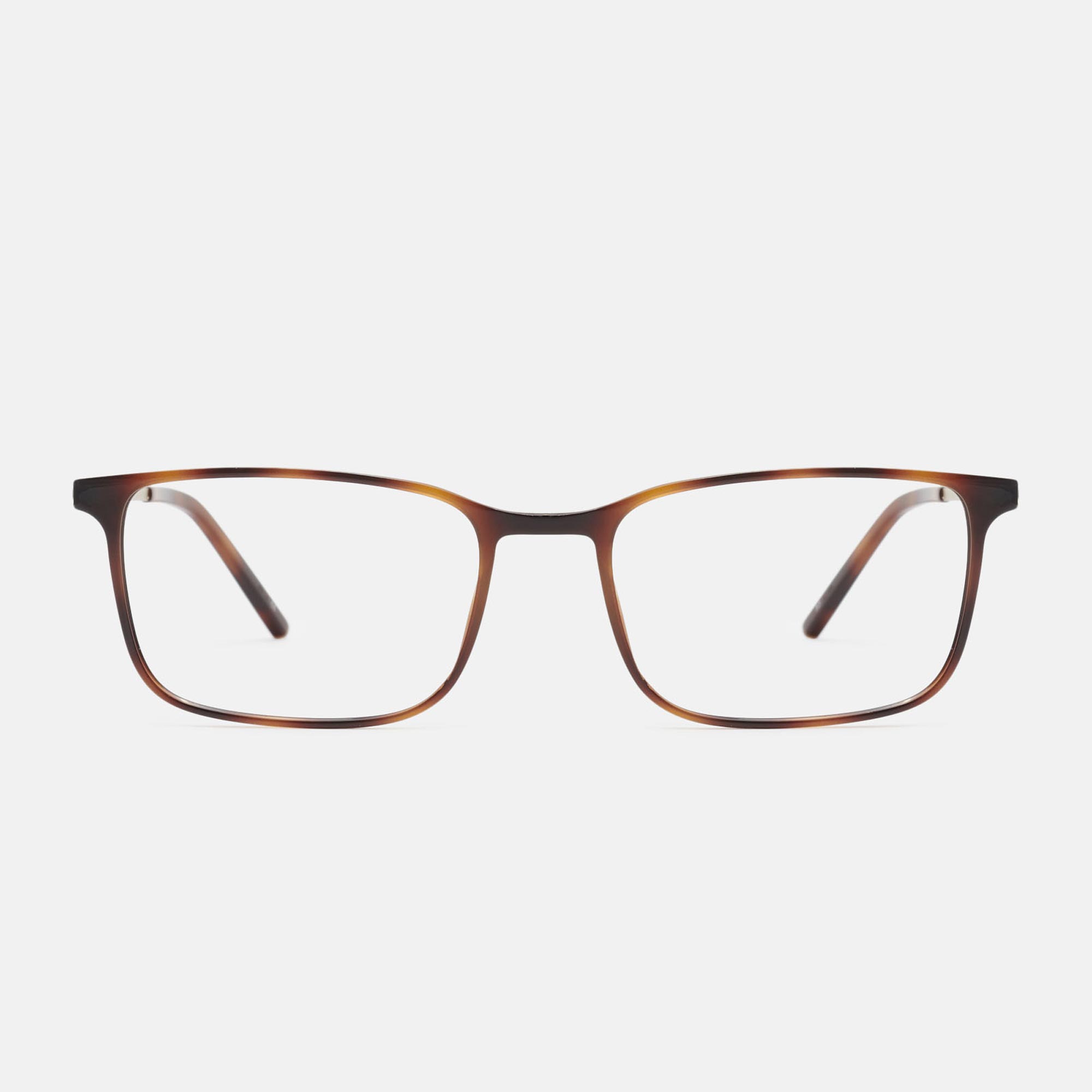 Noren MONEO, tortoiseshell/gold, large image number 0