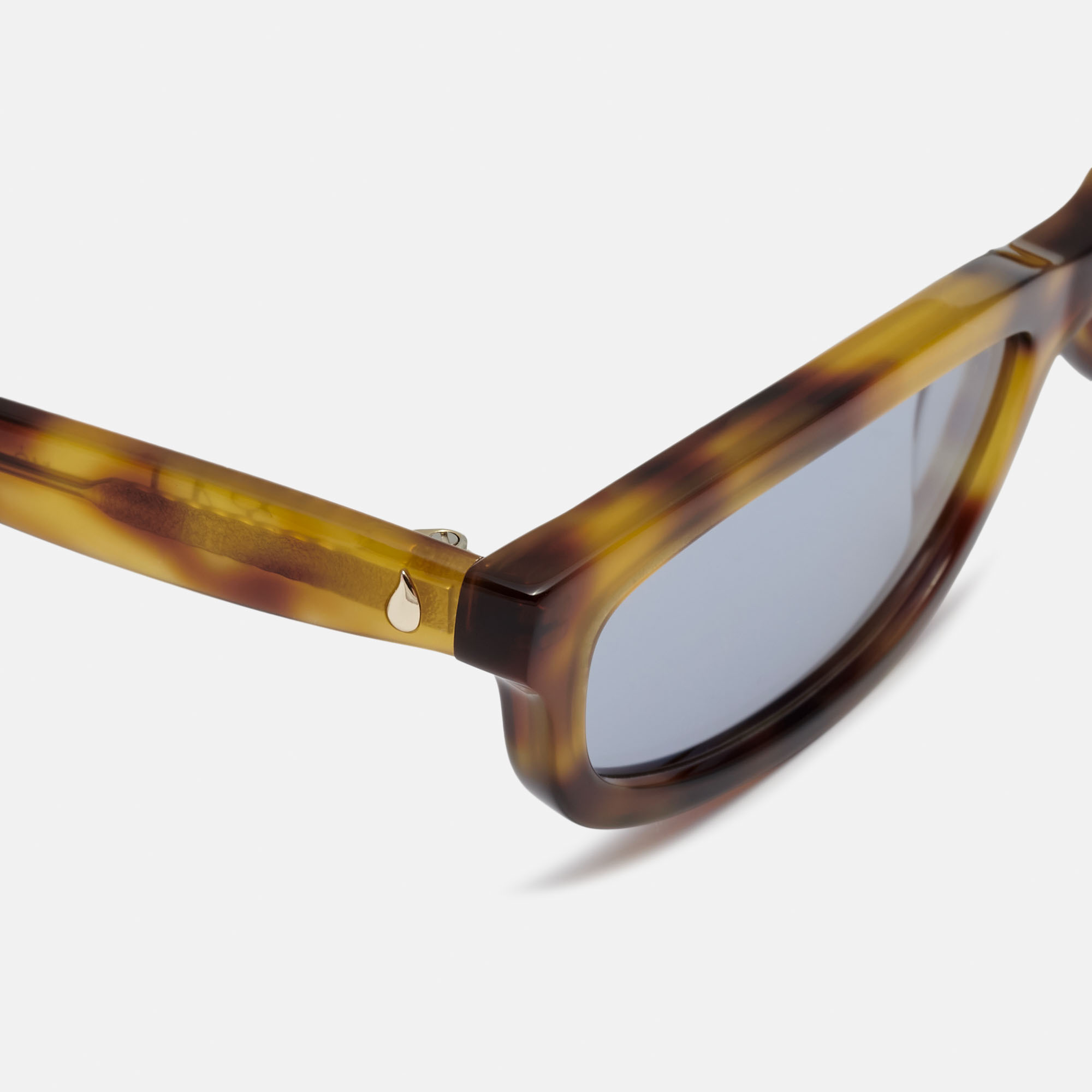 Mó RAJ SUN, light tortoiseshell, large image number 2