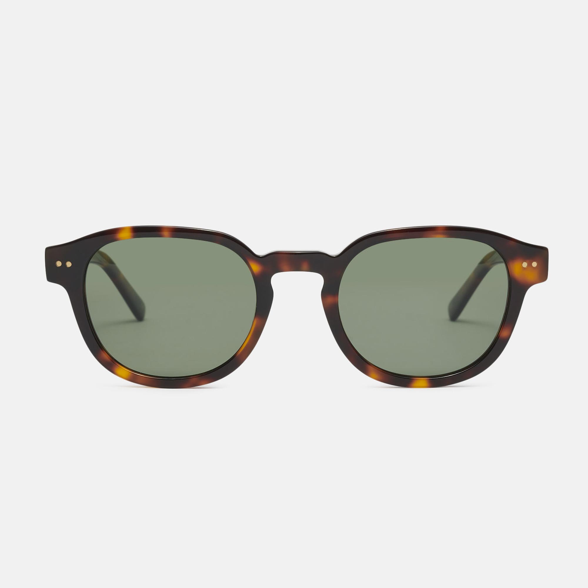 Mó EL CLOT SUN, tortoiseshell, large image number 0