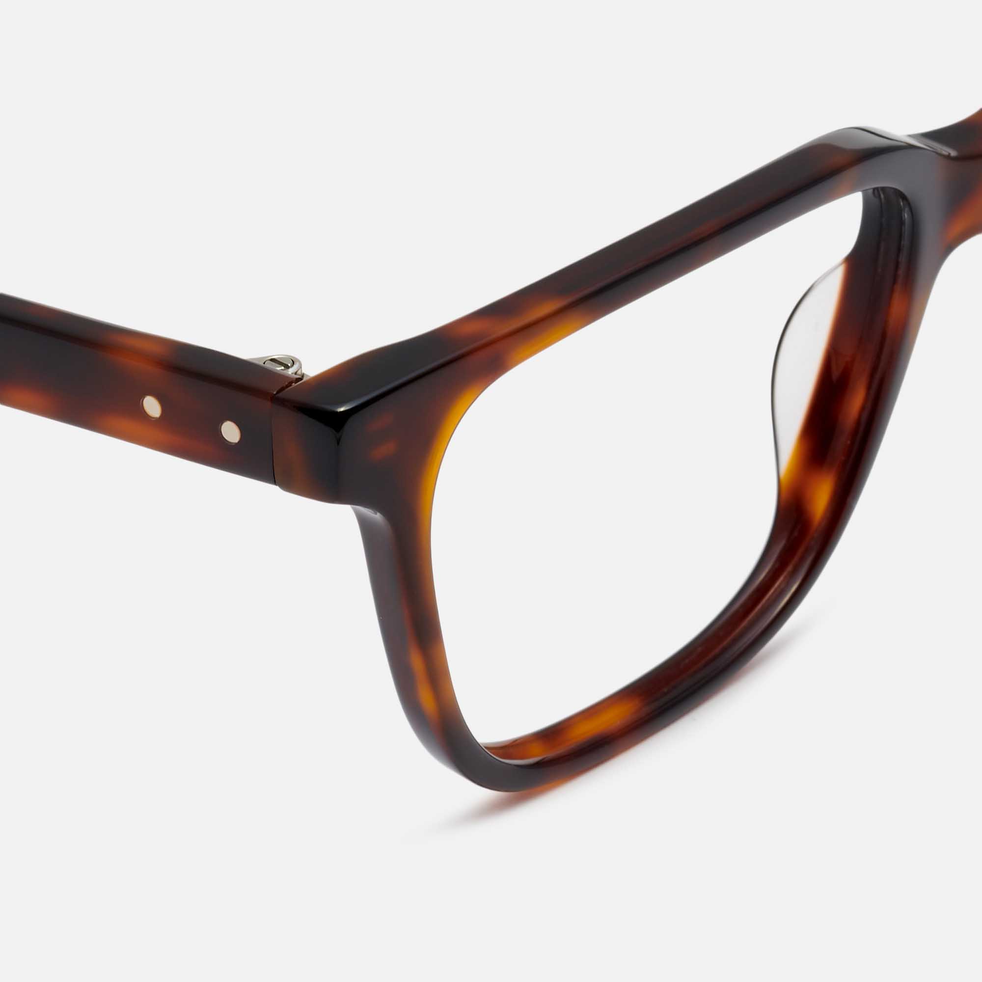 Mó TROY, tortoiseshell, large image number 2