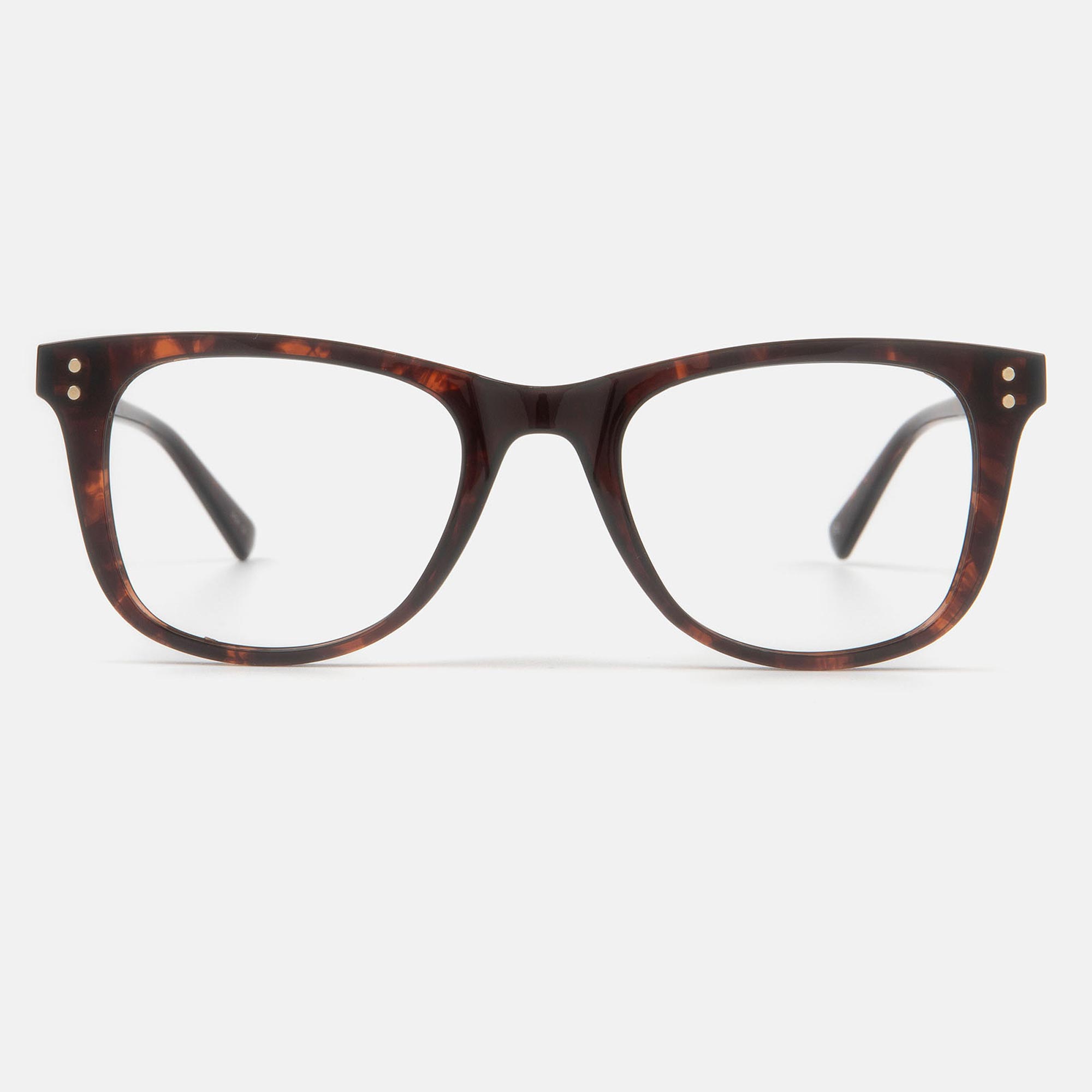Mó Pettirossi, tortoiseshell, large image number 1