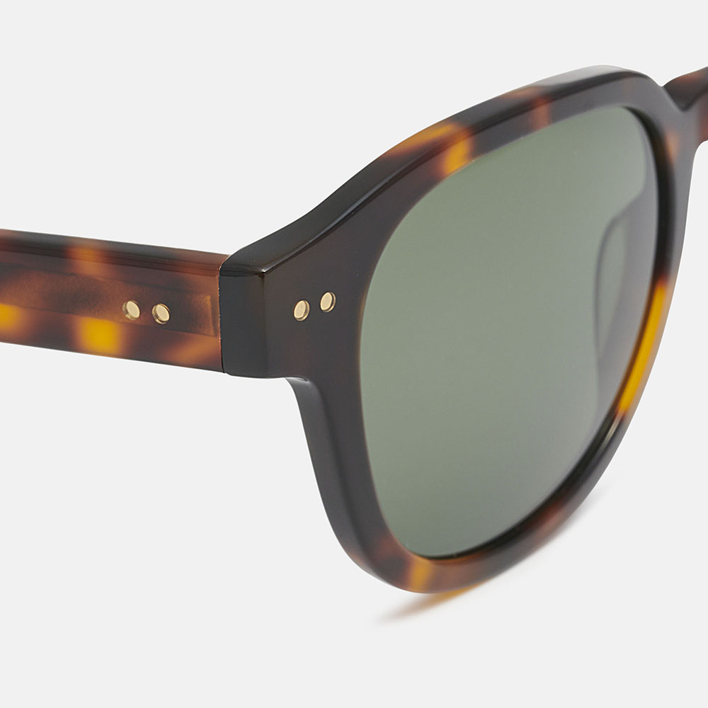 Mó EL CLOT SUN, tortoiseshell, large image number 2